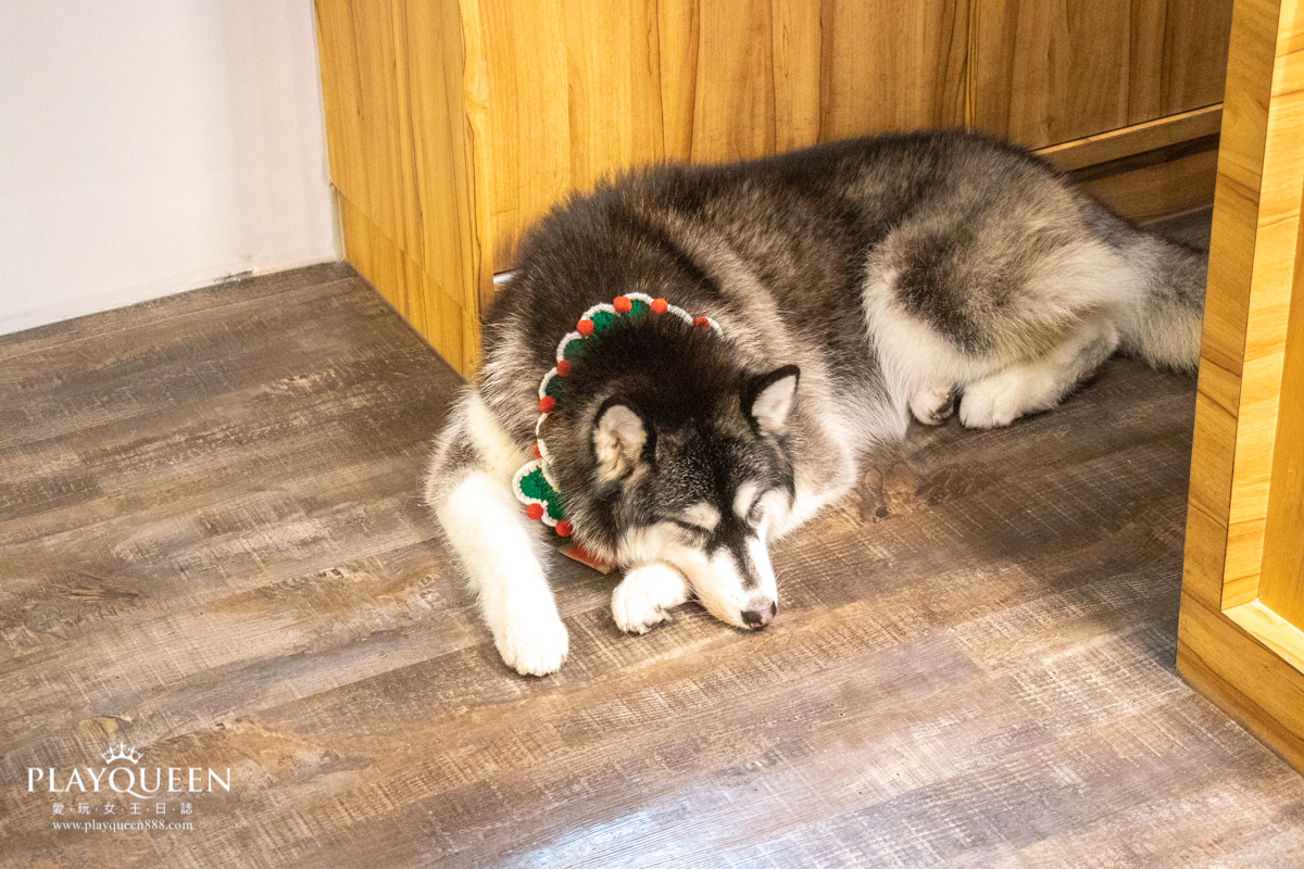 容燒居酒屋台中市北區文新二店