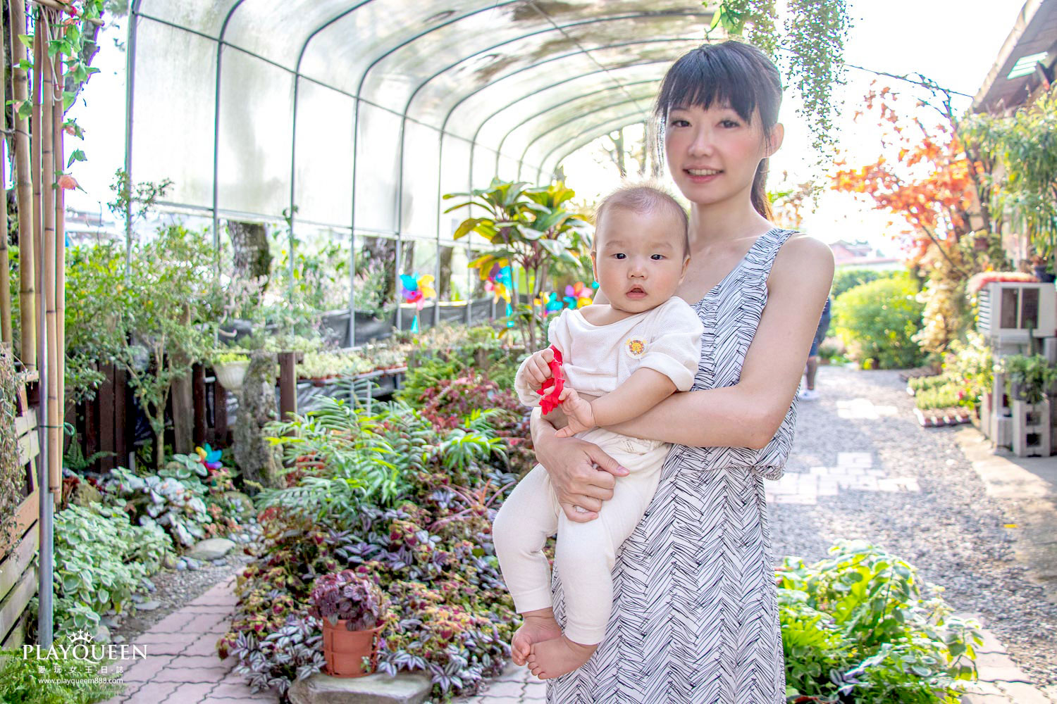 多肉秘境 多肉秘境