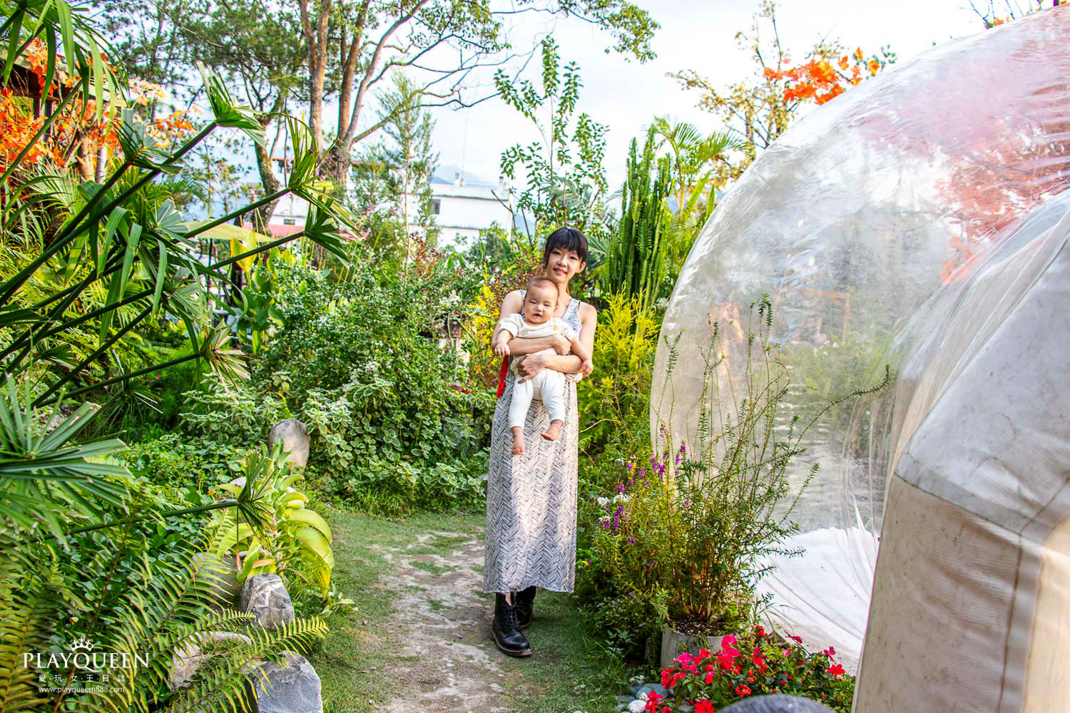 多肉秘境 多肉秘境