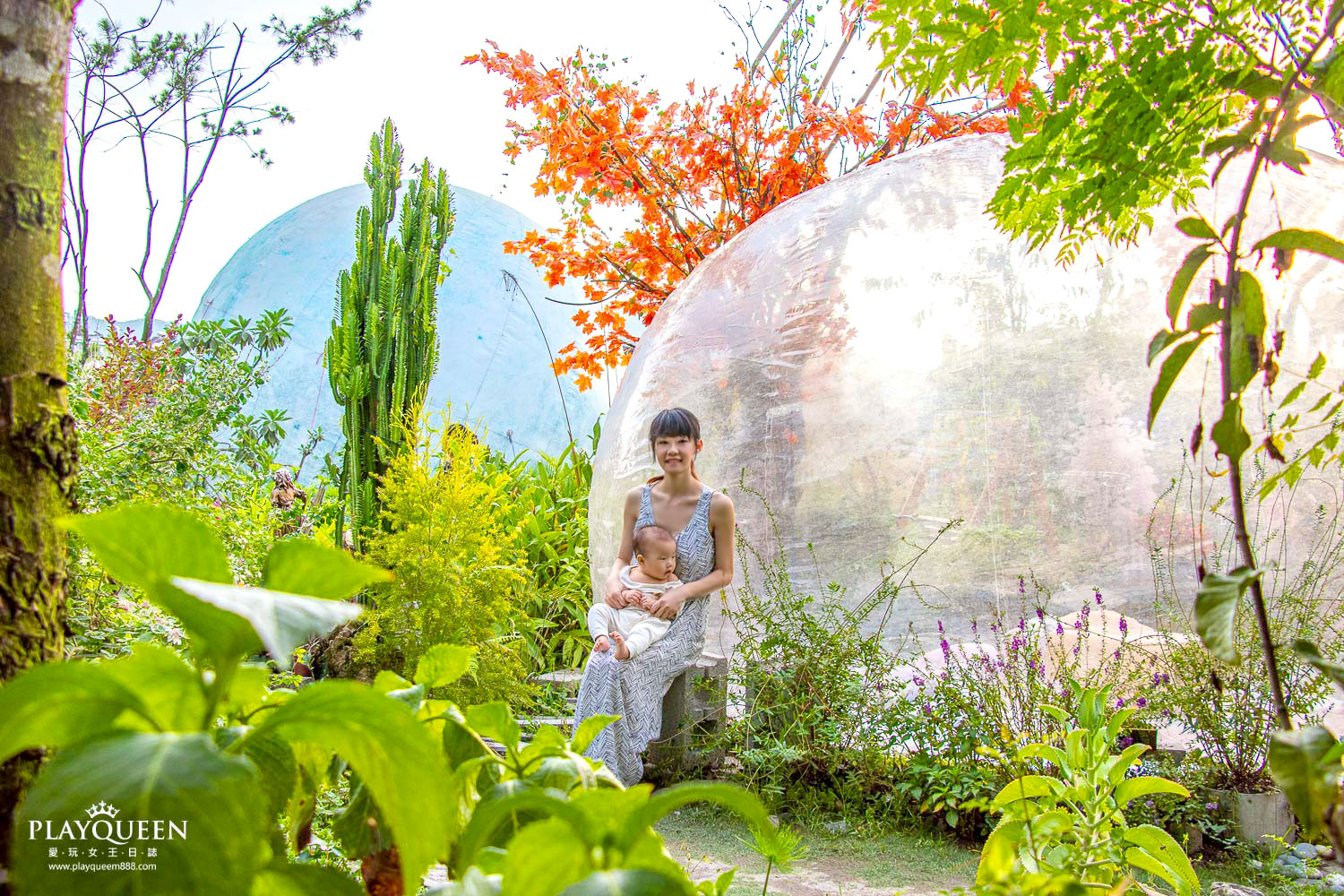 多肉秘境 多肉秘境