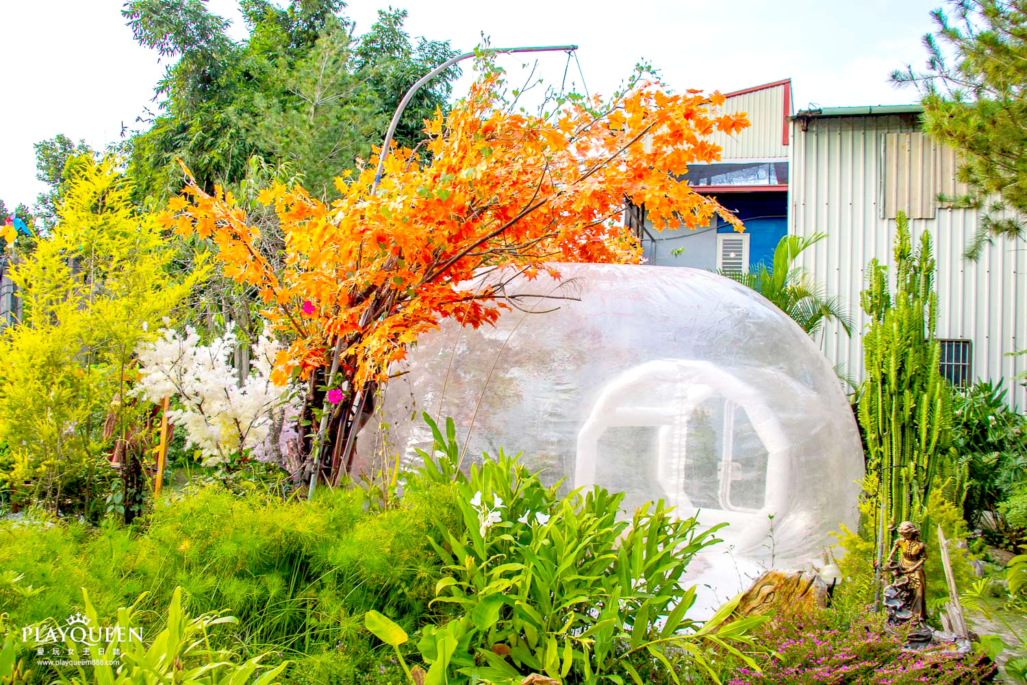 多肉秘境 多肉秘境