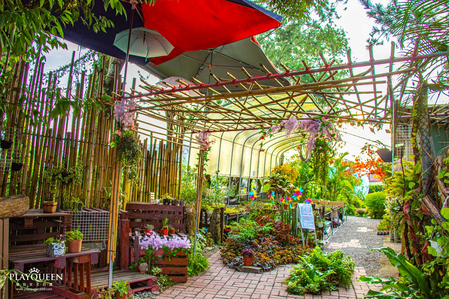 多肉秘境 多肉秘境