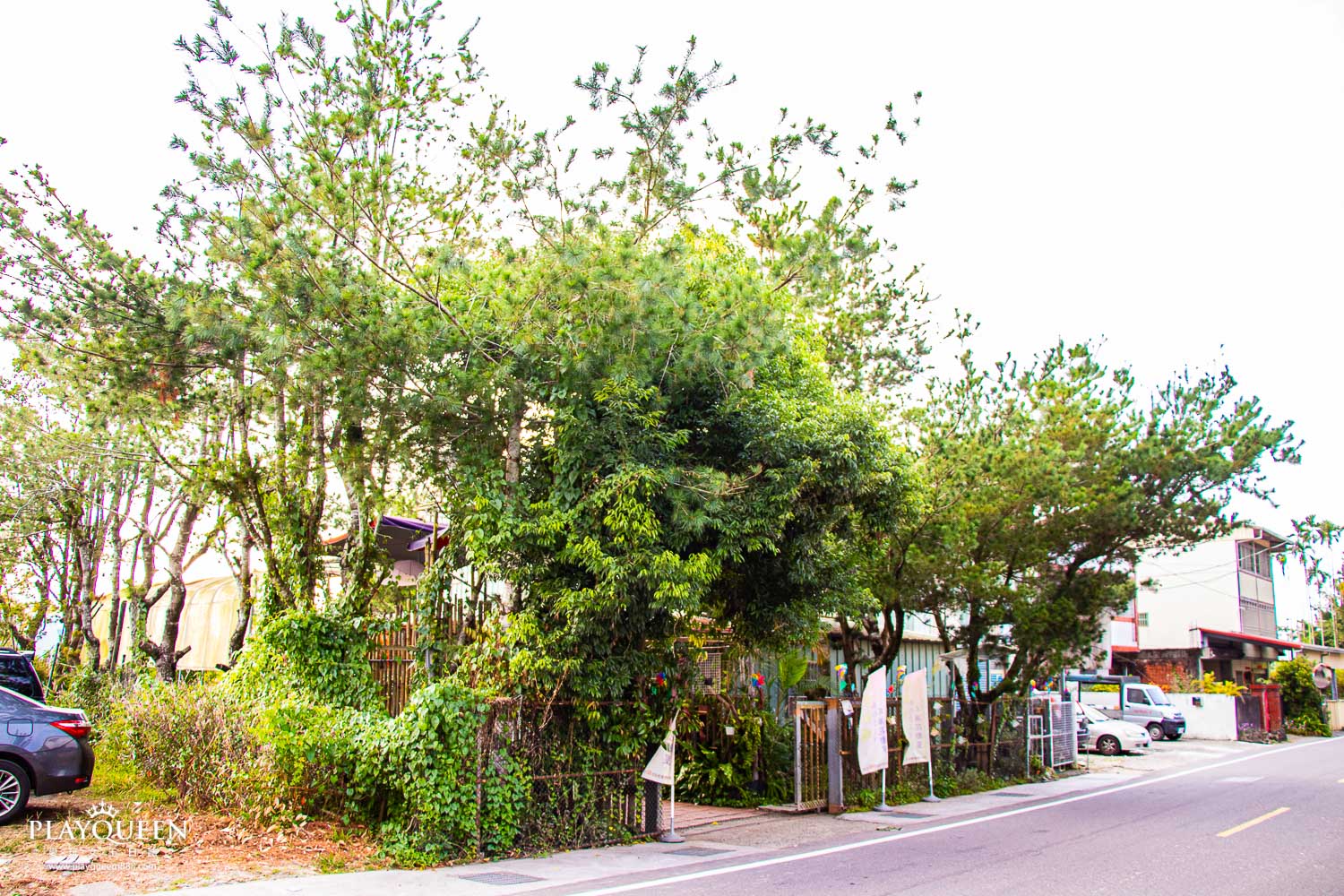 多肉秘境 多肉秘境