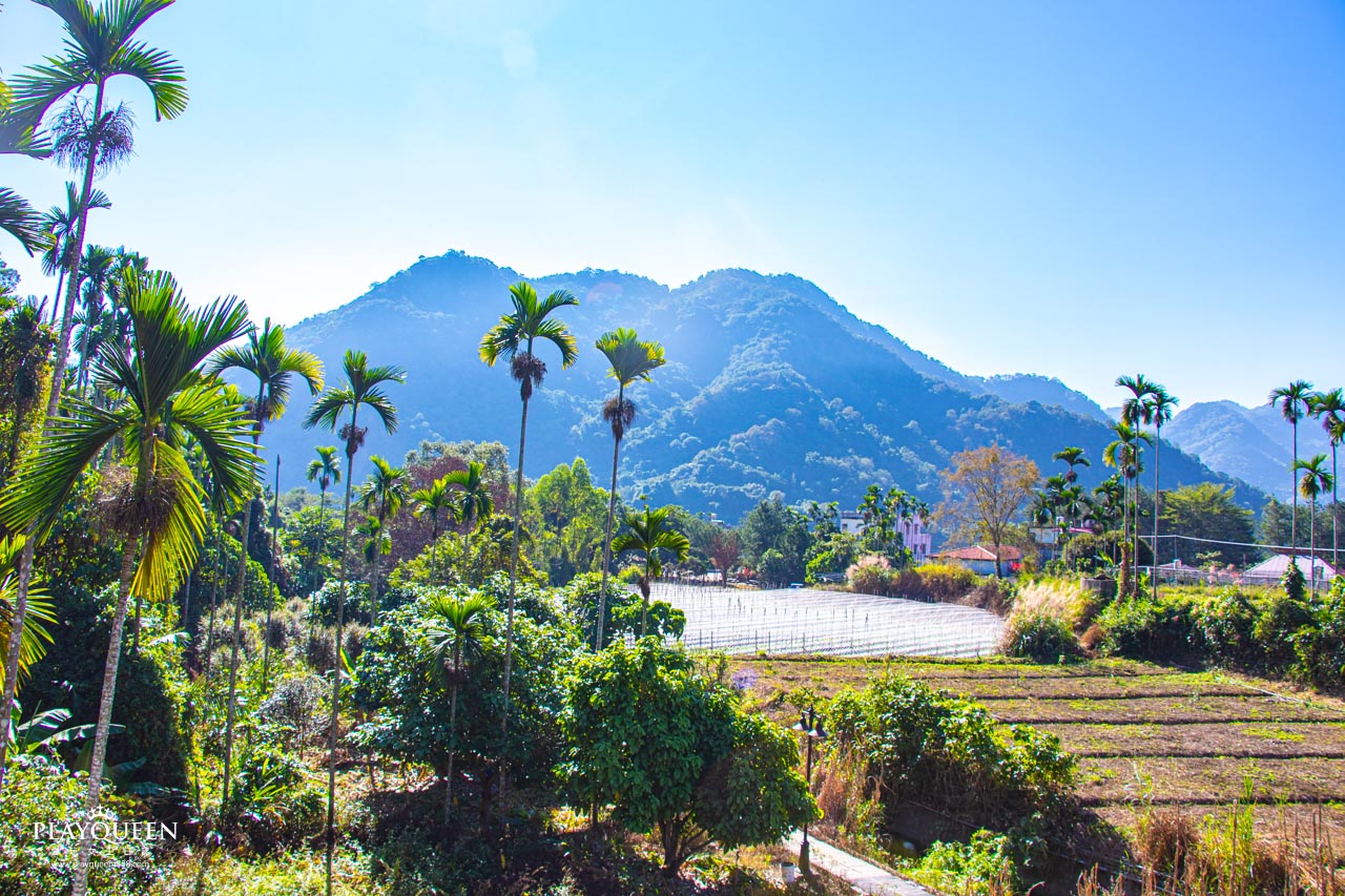 南投縣國姓鄉糯米橋休閒農業區 梅庄休閒渡假中心