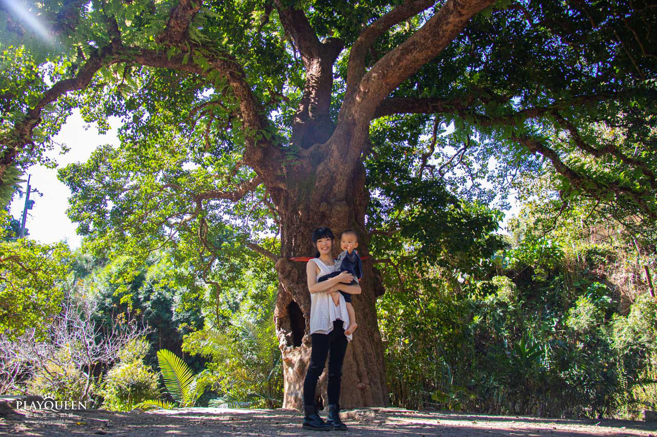 南投縣國姓鄉糯米橋休閒農業區 梅庄休閒渡假中心