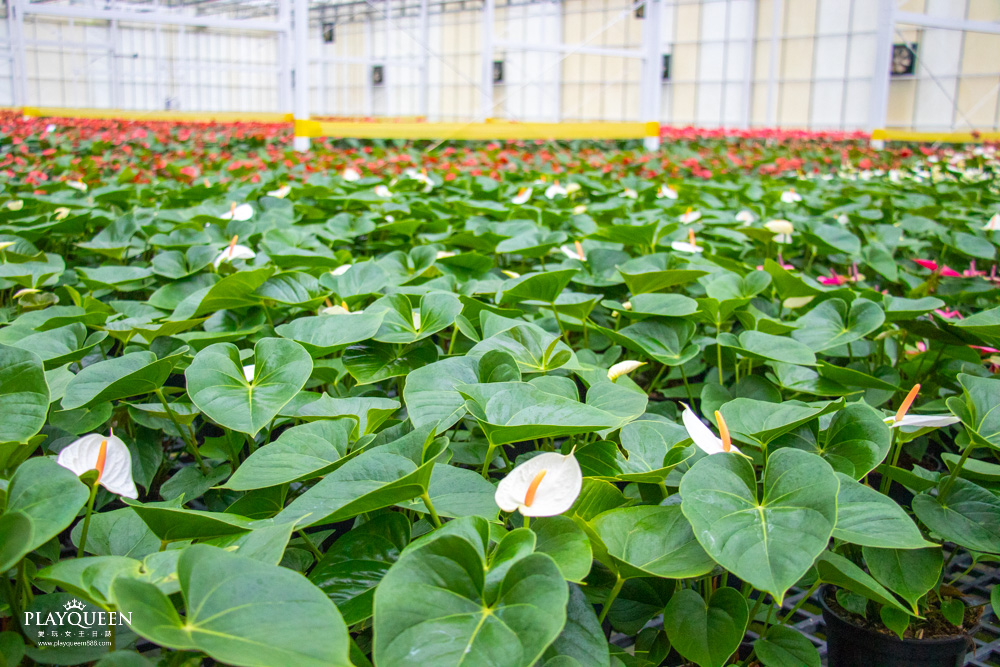 臺中區農業改良場