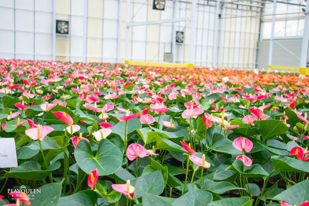 臺中區農業改良場