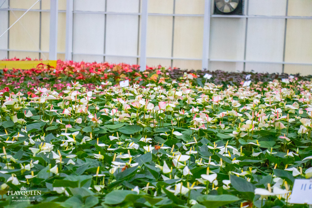 臺中區農業改良場