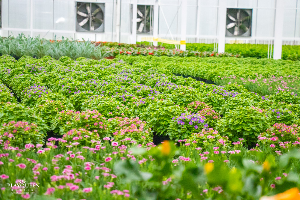 臺中區農業改良場