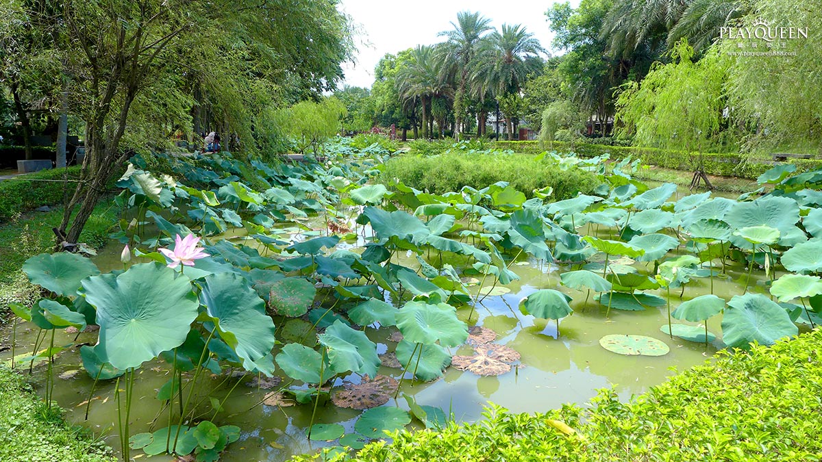龍潭客家文化館