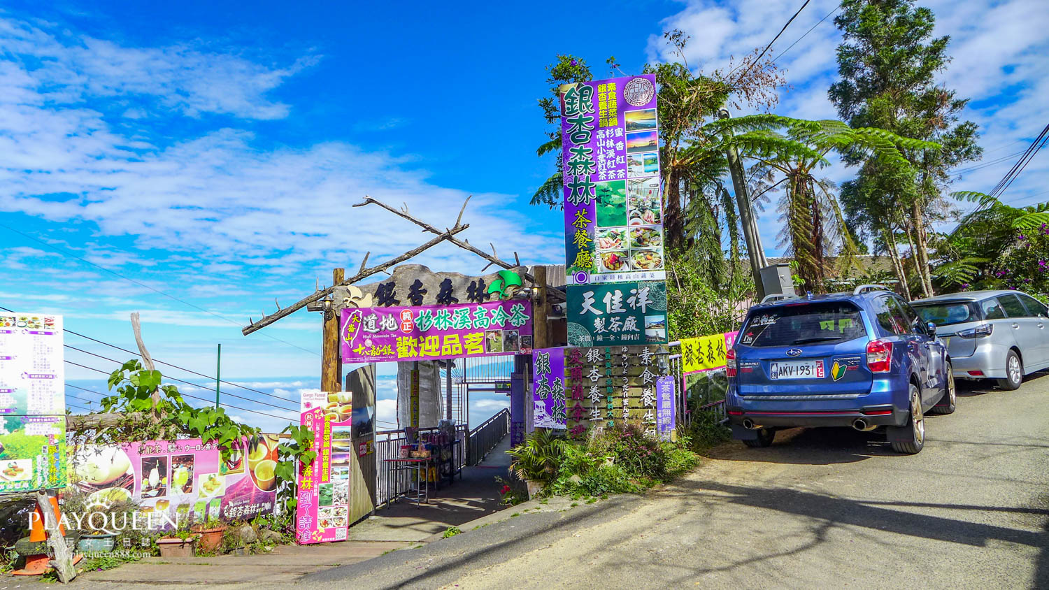 銀杏森林南投鹿谷