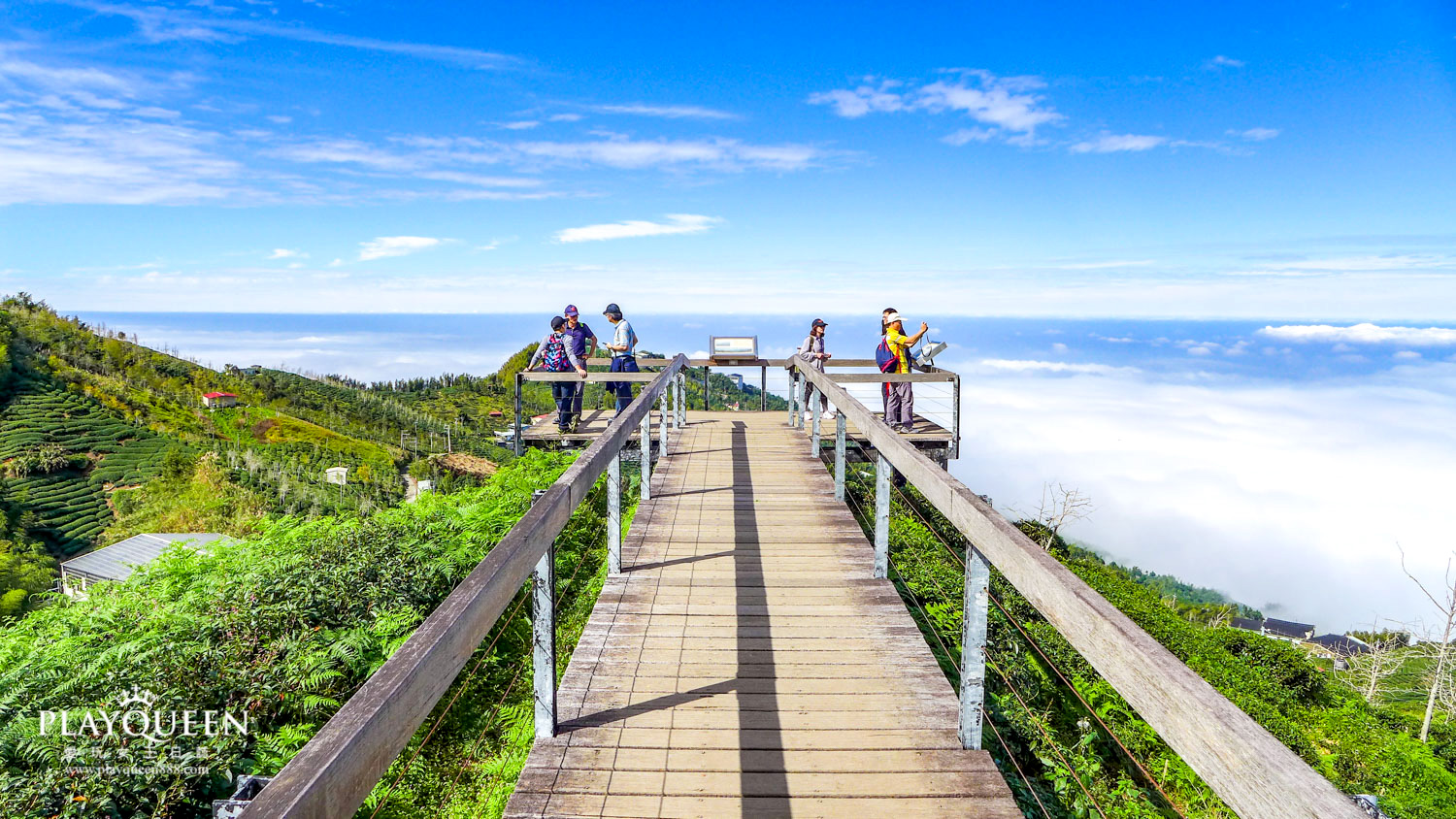 銀杏森林南投鹿谷
