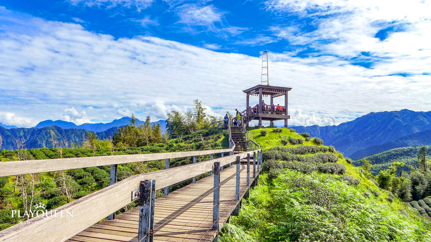 銀杏森林南投鹿谷