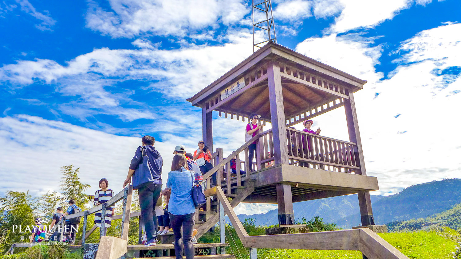銀杏森林南投鹿谷