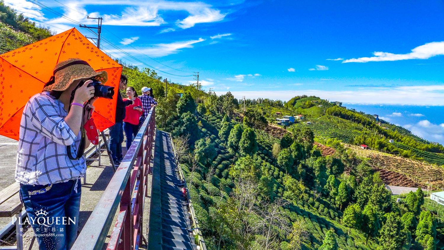 銀杏森林南投鹿谷