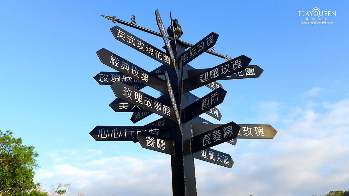 雅聞七里香玫瑰森林