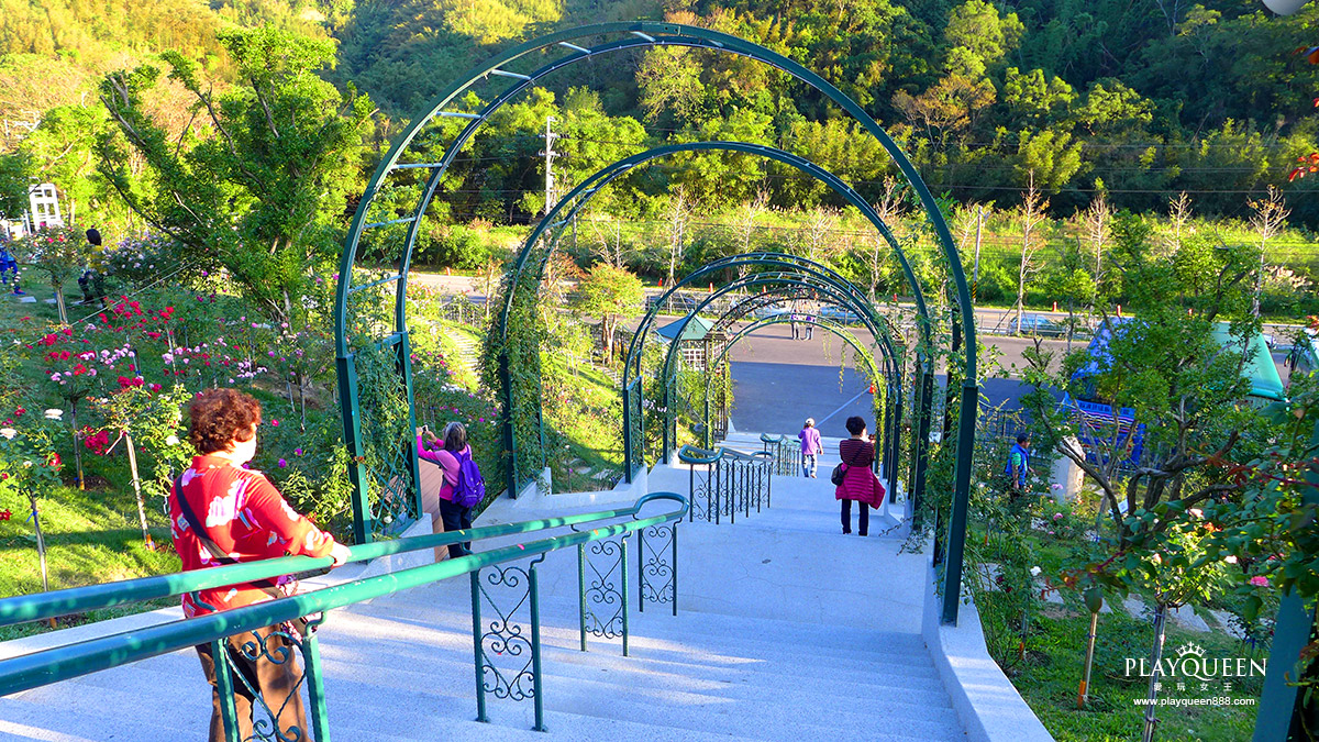 雅聞七里香玫瑰森林