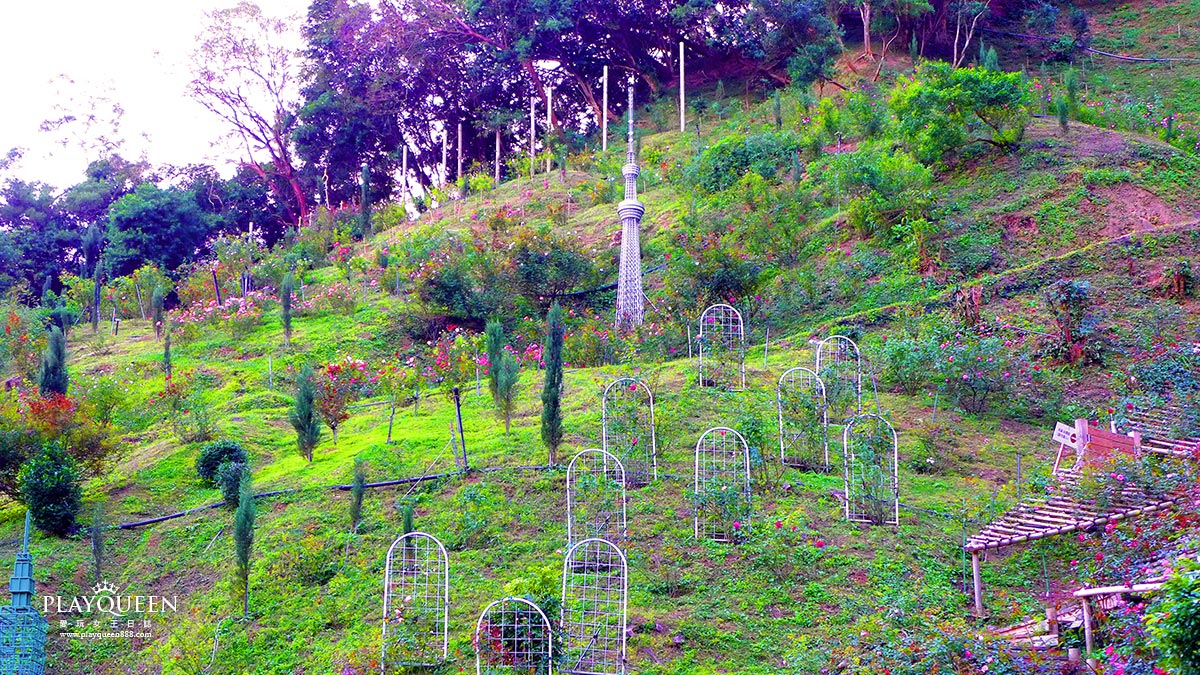 雅聞七里香玫瑰森林