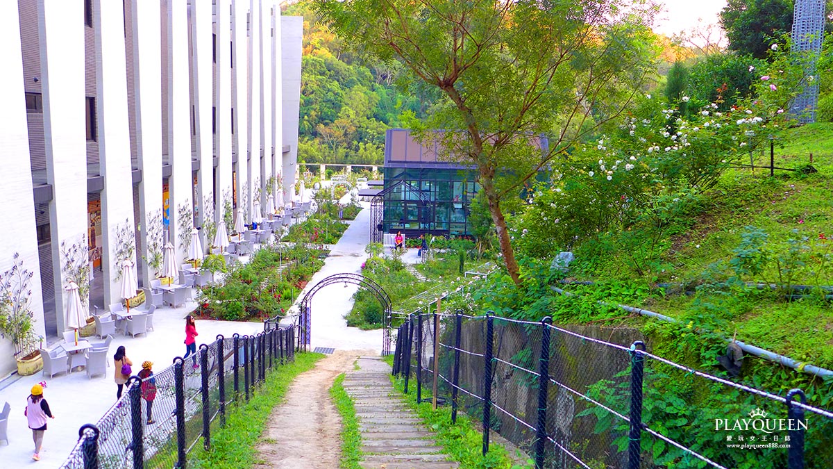 雅聞七里香玫瑰森林