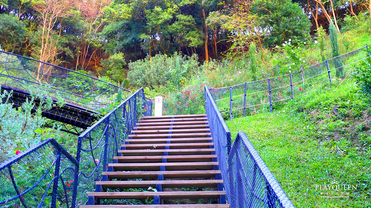 雅聞七里香玫瑰森林