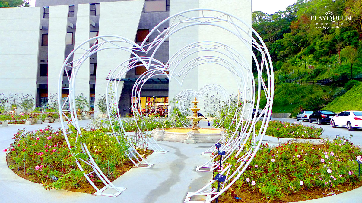 雅聞七里香玫瑰森林