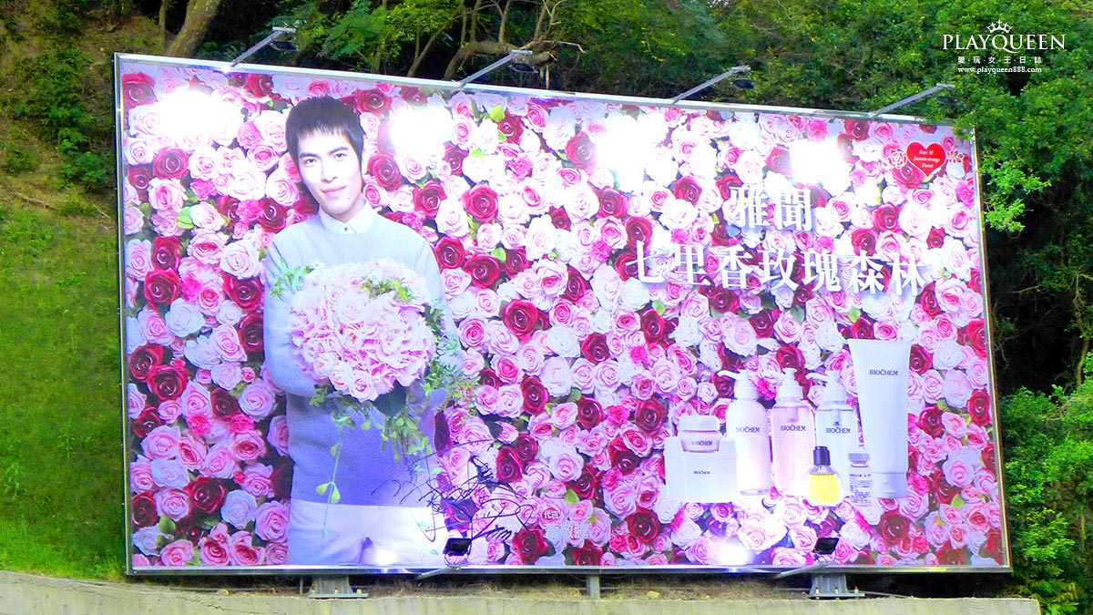 雅聞七里香玫瑰森林