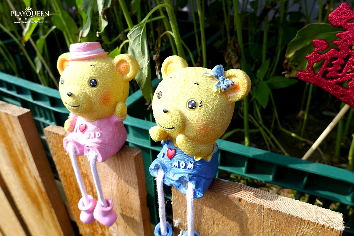 2016臺中國際花毯節，后里花田綠廊