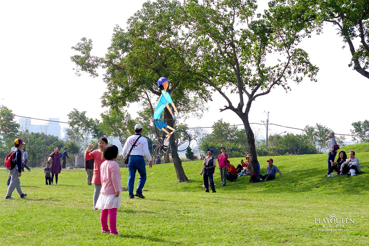 2016臺中國際花毯節，后里花田綠廊