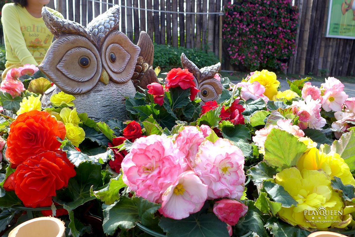 2016臺中國際花毯節，后里花田綠廊