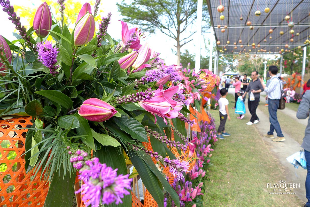 2016臺中國際花毯節，后里花田綠廊