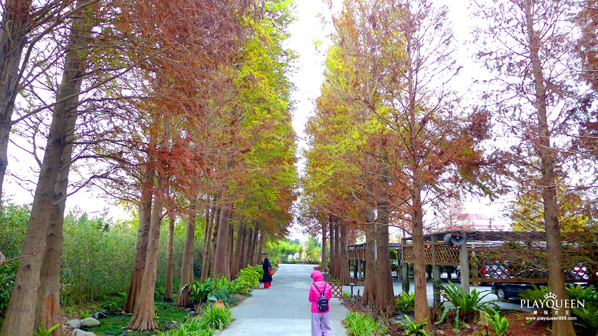 彰化田尾菁芳園