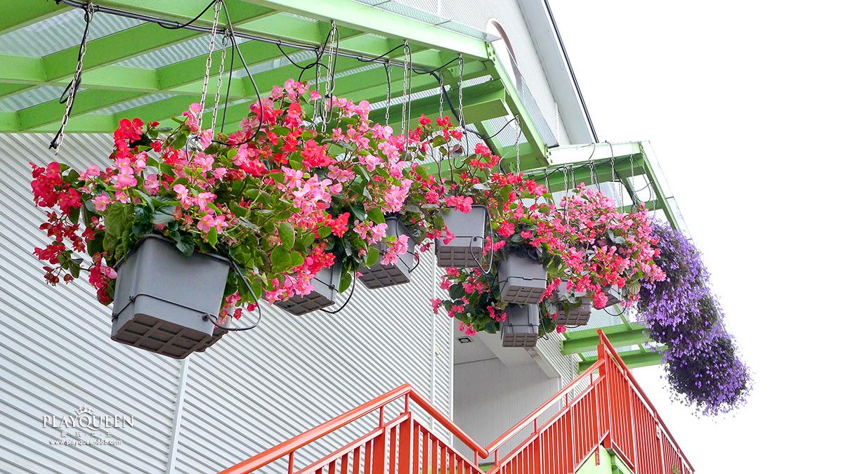 彰化田尾菁芳園