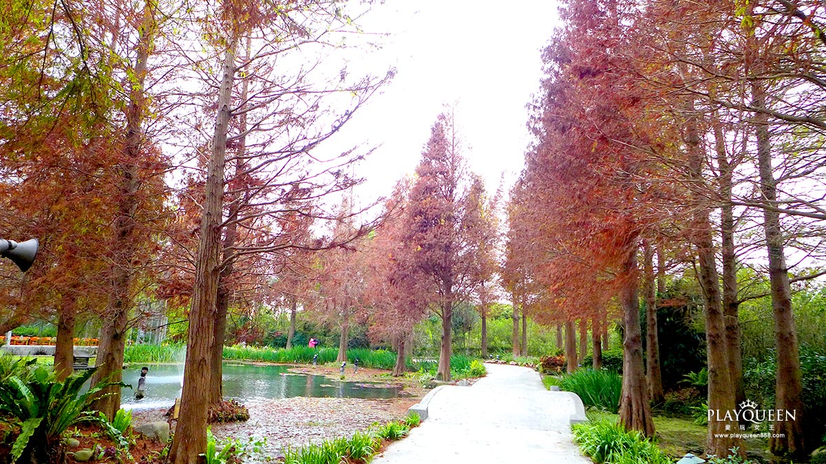 彰化田尾菁芳園