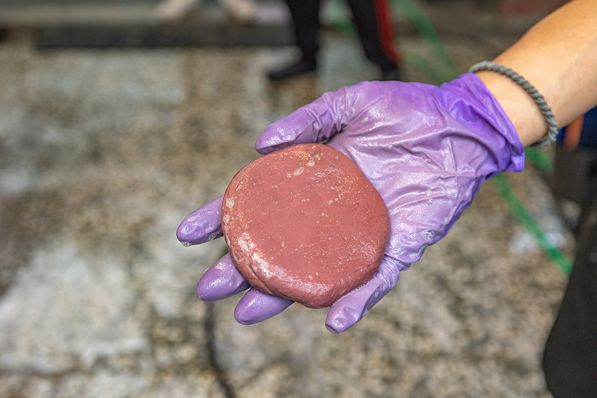 小姐好蠟-專業汽機車美容