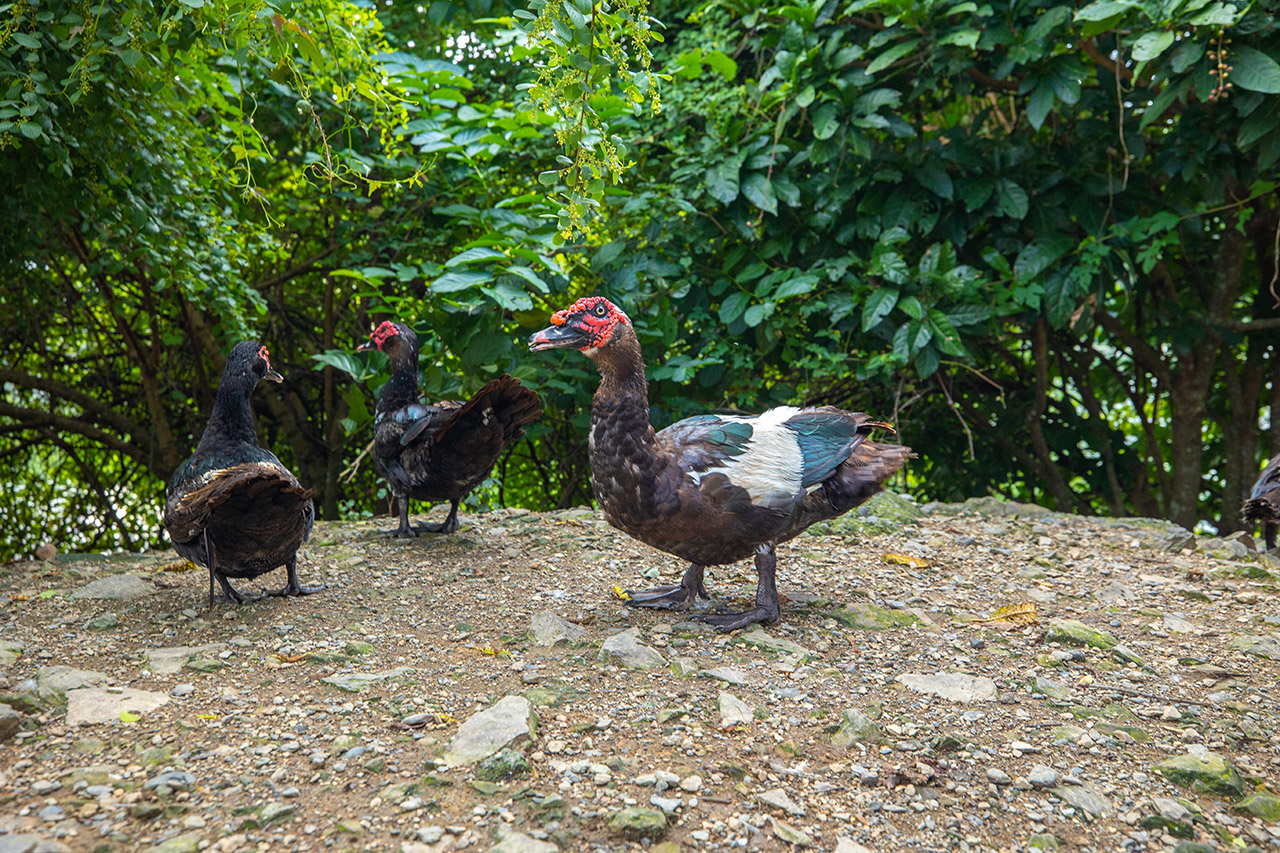 Herbelle 龍潭湖畔悠活園區