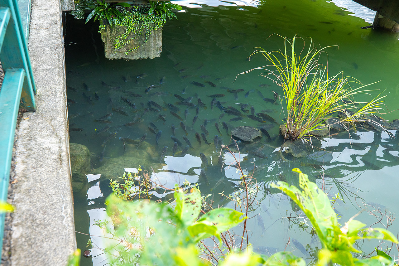 Herbelle 龍潭湖畔悠活園區