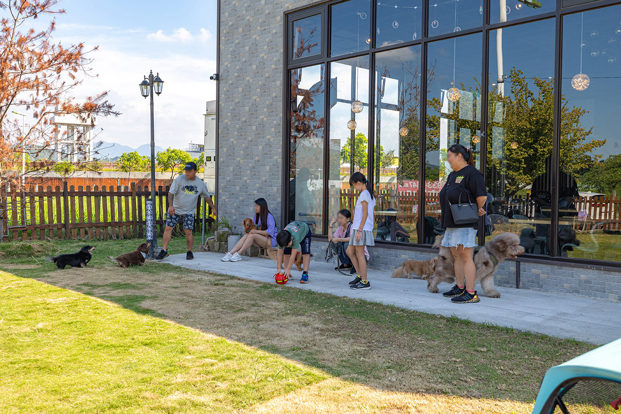 野沐私房菜｜台中寵物友善餐廳推薦