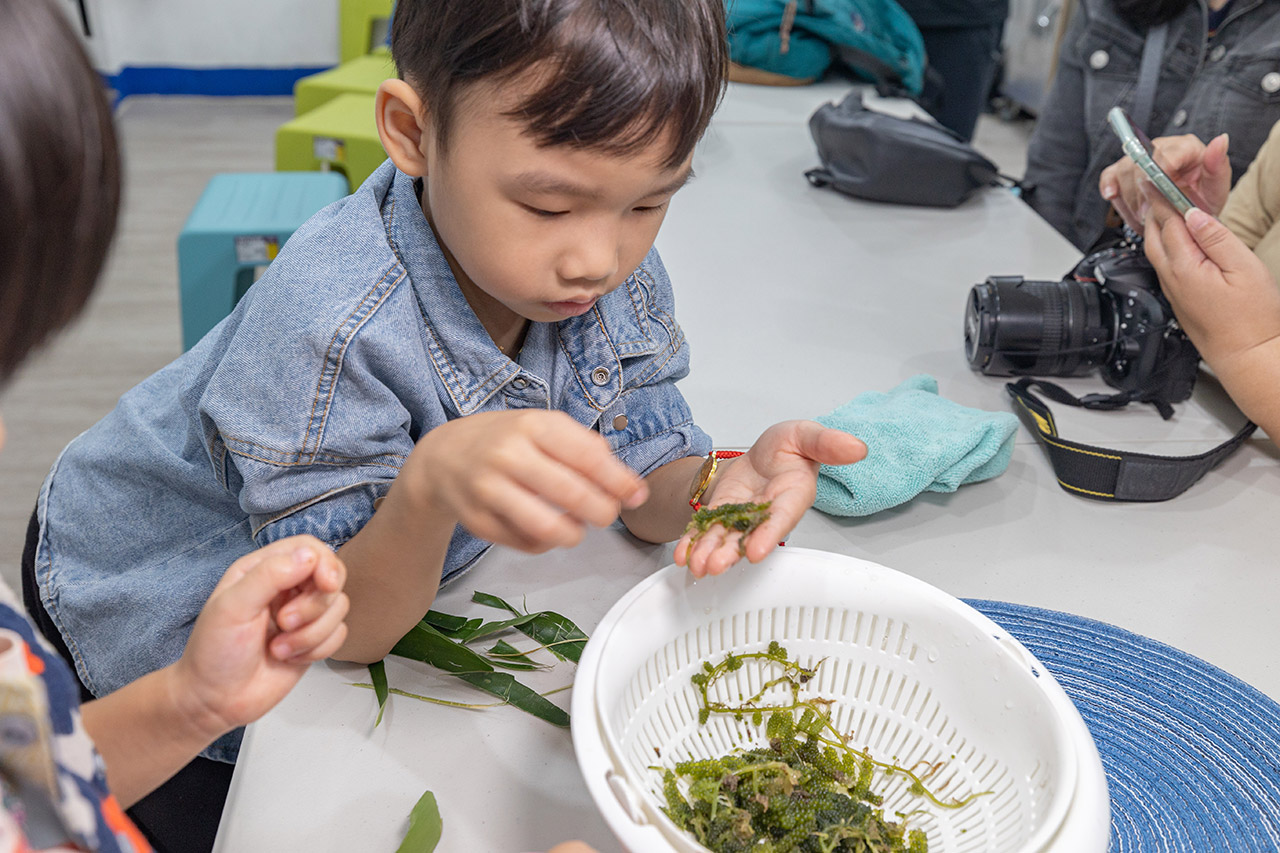 東北角一日遊｜新北一日遊｜新北旅遊｜新北親子景點-新北休閒漁業廊道旅遊