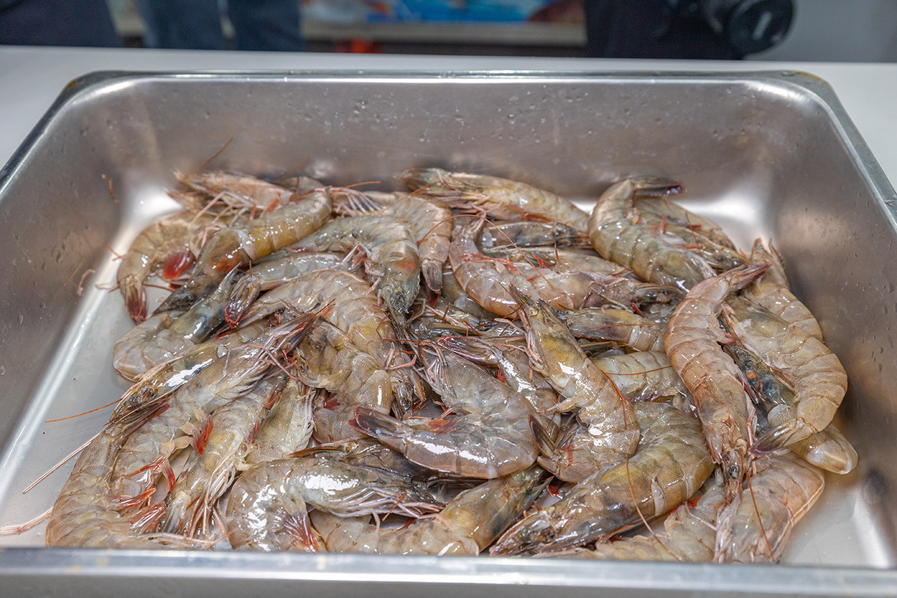 東北角一日遊｜新北一日遊｜新北旅遊｜新北親子景點-新北休閒漁業廊道旅遊