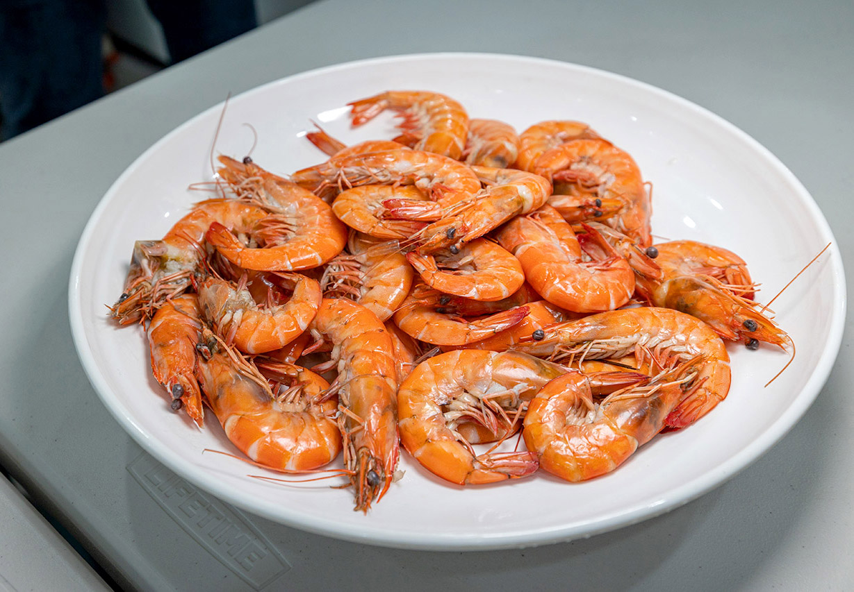 東北角一日遊｜新北一日遊｜新北旅遊｜新北親子景點-新北休閒漁業廊道旅遊