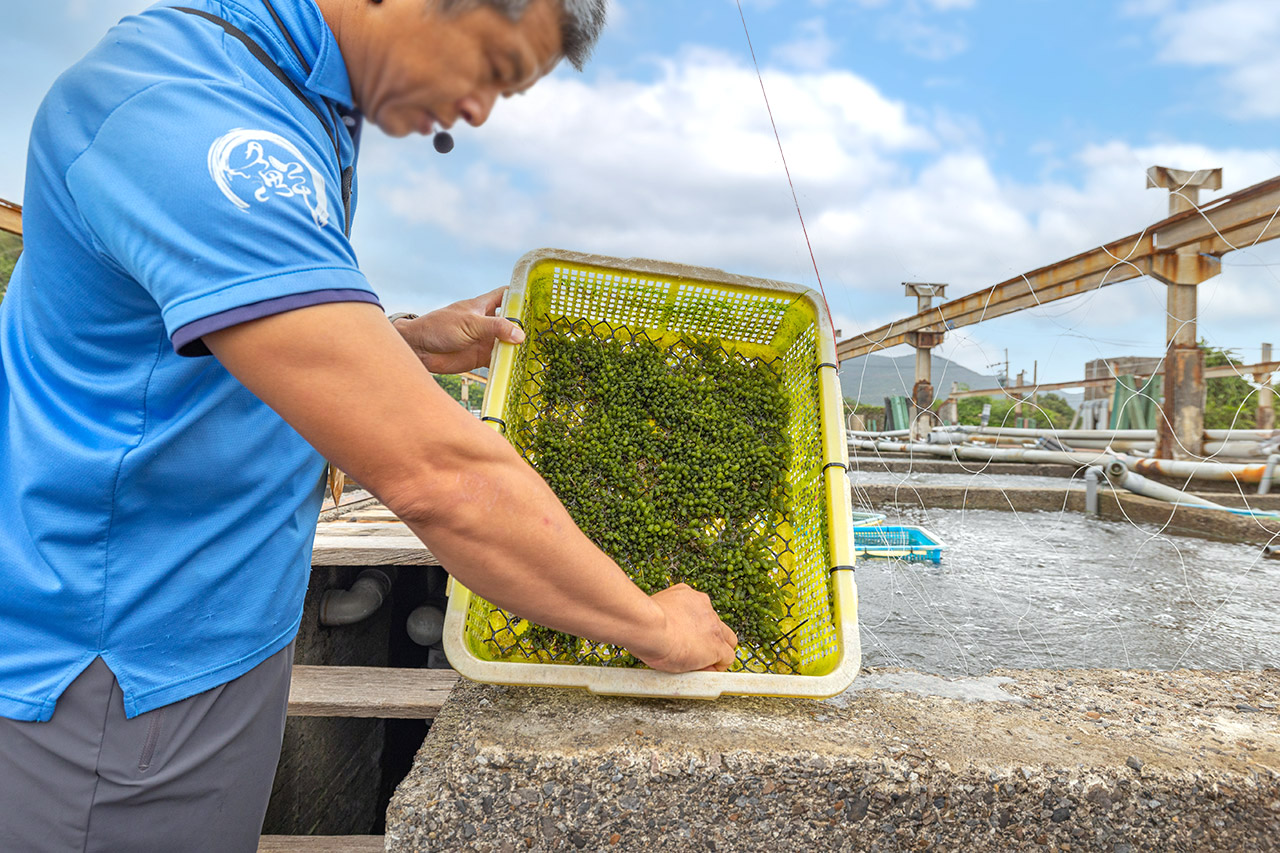 東北角一日遊｜新北一日遊｜新北旅遊｜新北親子景點-新北休閒漁業廊道旅遊