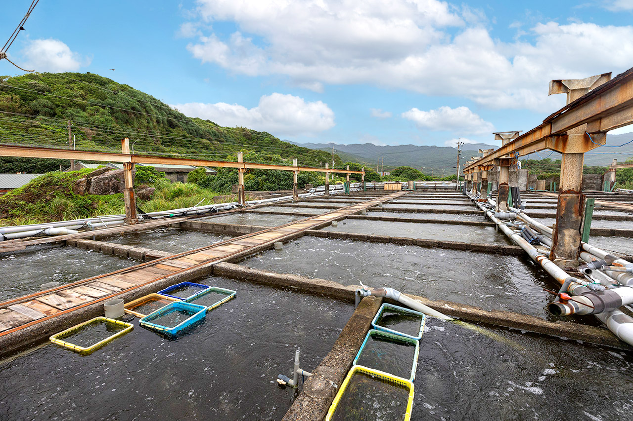 東北角一日遊｜新北一日遊｜新北旅遊｜新北親子景點-新北休閒漁業廊道旅遊