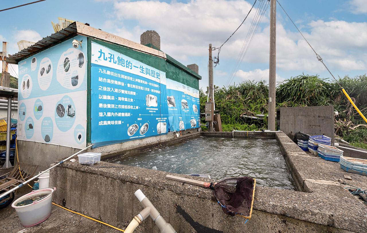 東北角一日遊｜新北一日遊｜新北旅遊｜新北親子景點-新北休閒漁業廊道旅遊