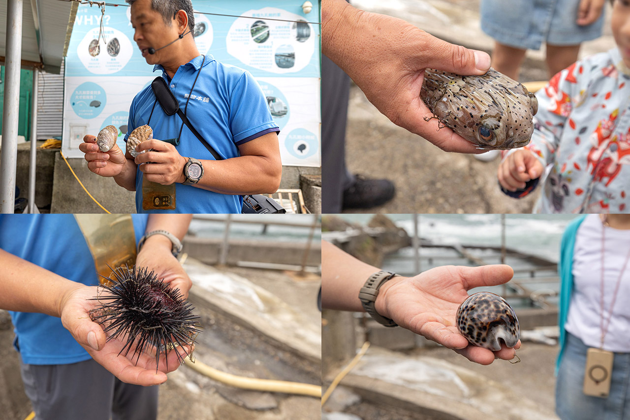 東北角一日遊｜新北一日遊｜新北旅遊｜新北親子景點-新北休閒漁業廊道旅遊