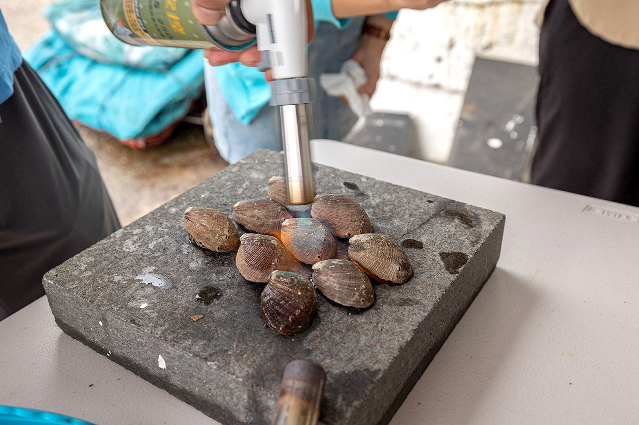 東北角一日遊｜新北一日遊｜新北旅遊｜新北親子景點-新北休閒漁業廊道旅遊