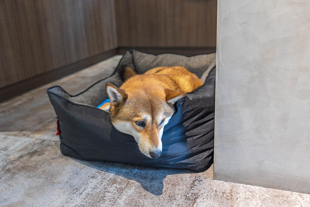 OZM唡男｜台甜點推薦｜台中西區美食｜台中下午茶推薦