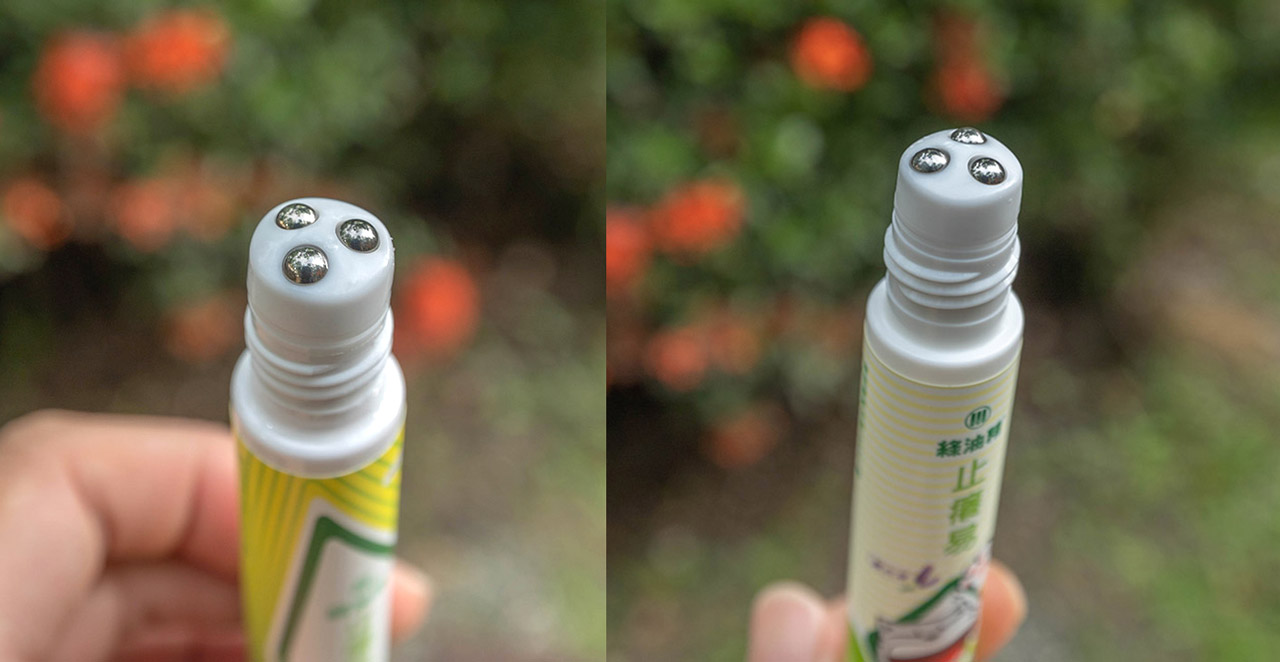 台中南天宮台中走春一日遊7