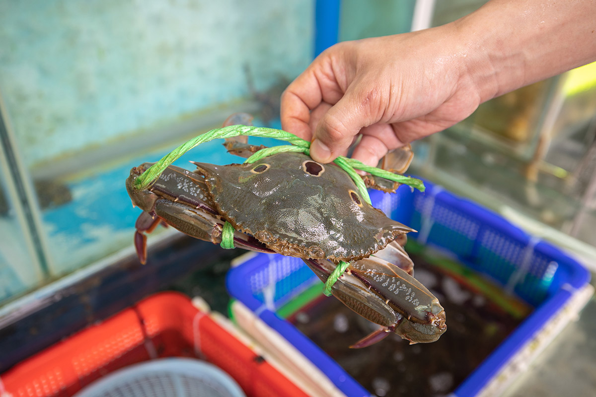 鮮滿樓｜萬里蟹海鮮餐廳推薦