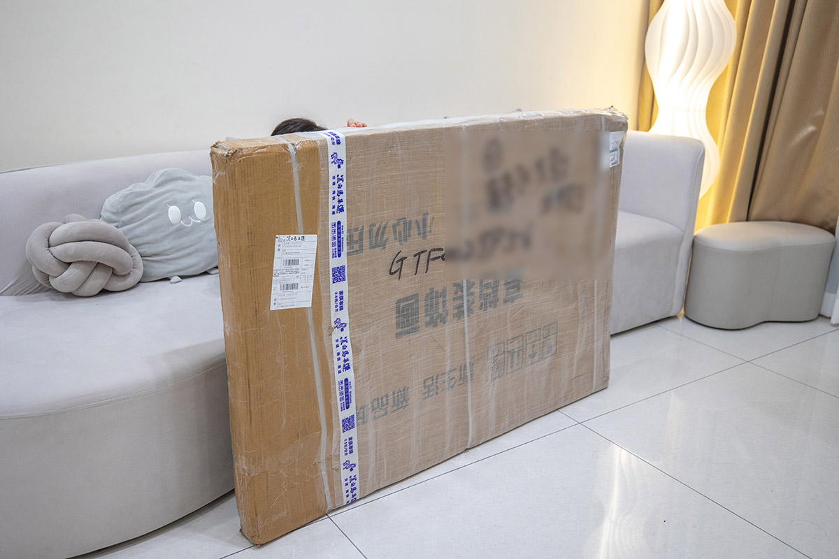 黑白馬集運？雙11購物最佳搭檔