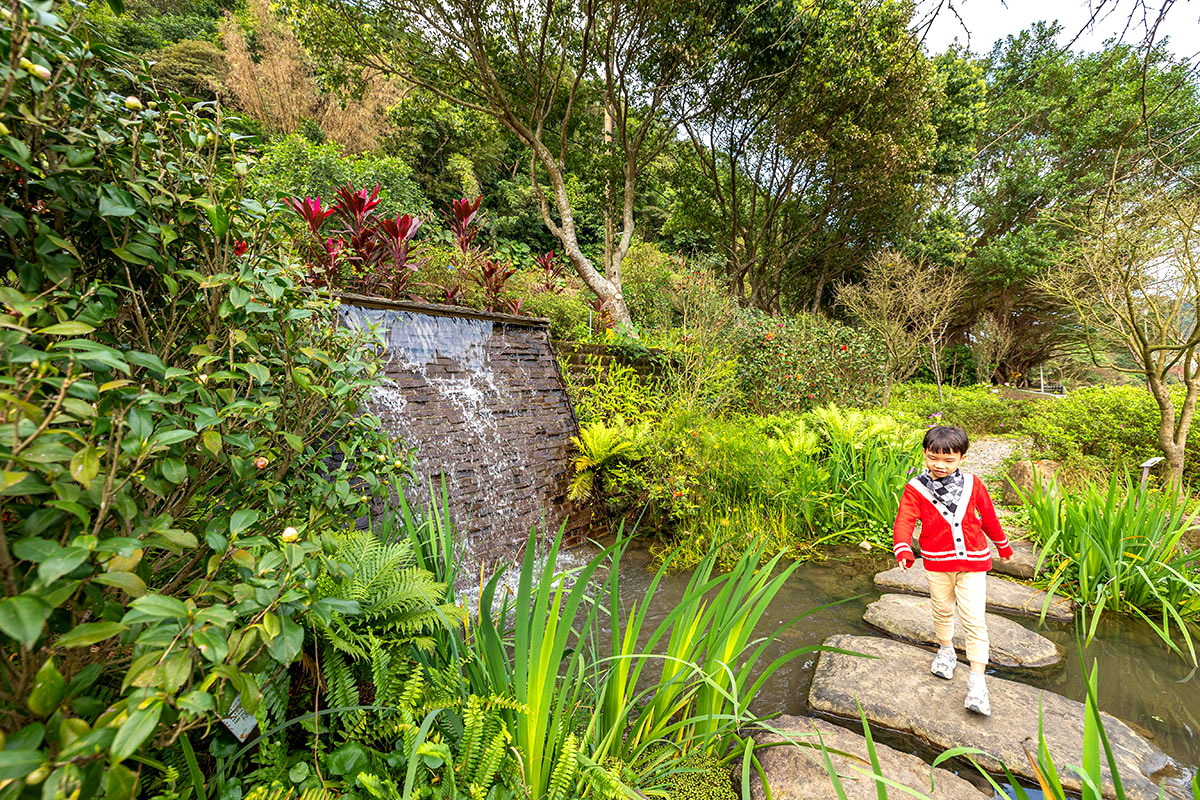 2025萬金杜鵑花展．一起出花｜2025新北景點｜萬里景點推薦